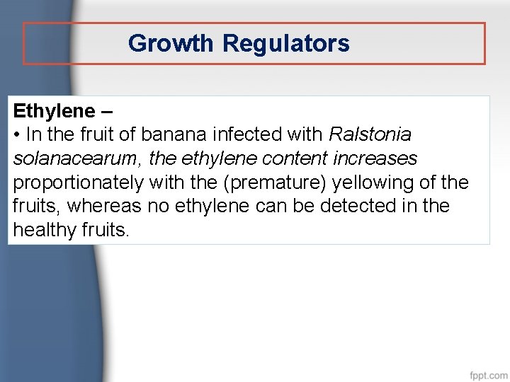 Growth Regulators Ethylene – • In the fruit of banana infected with Ralstonia solanacearum,