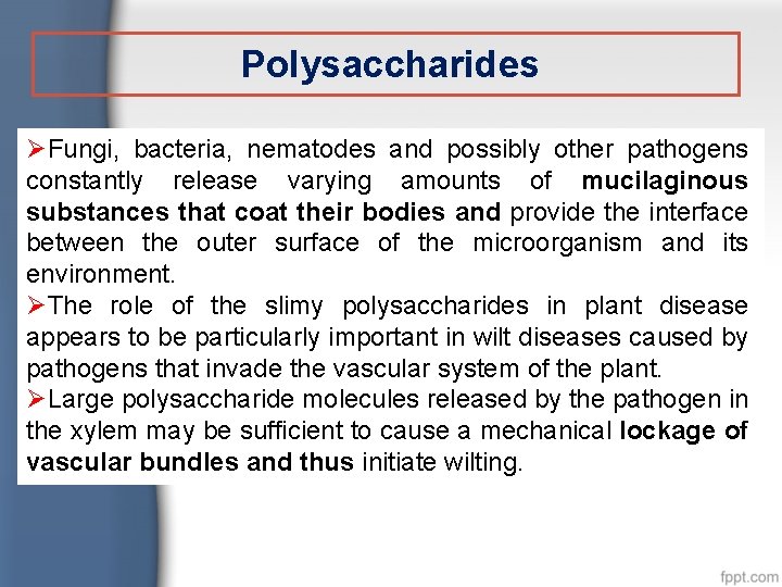 Polysaccharides ØFungi, bacteria, nematodes and possibly other pathogens constantly release varying amounts of mucilaginous