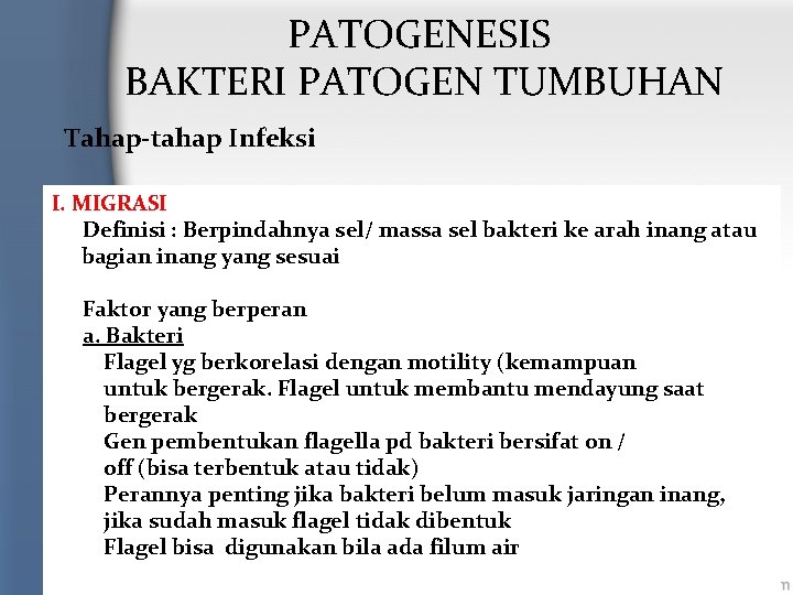 PATOGENESIS BAKTERI PATOGEN TUMBUHAN Tahap-tahap Infeksi I. MIGRASI Definisi : Berpindahnya sel/ massa sel