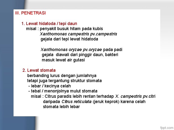 III. PENETRASI 1. Lewat hidatoda / tepi daun misal : penyakit busuk hitam pada
