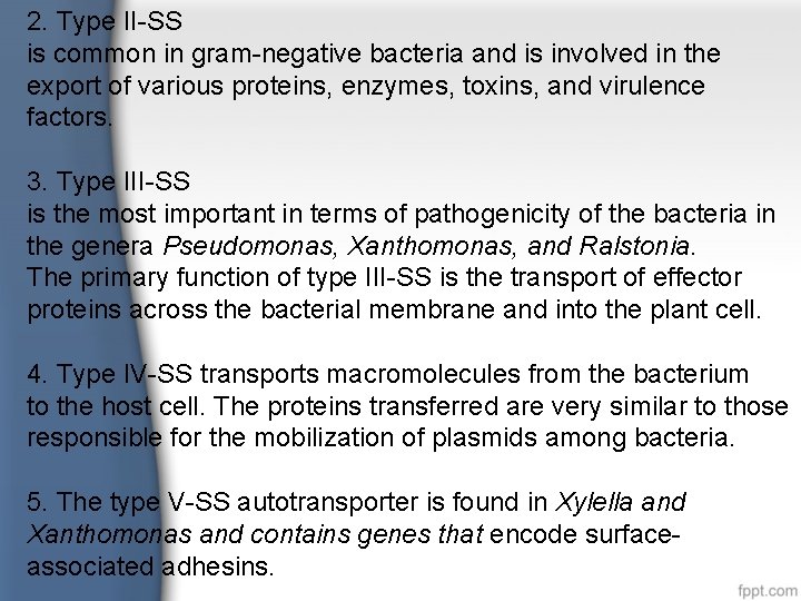 2. Type II-SS is common in gram-negative bacteria and is involved in the export