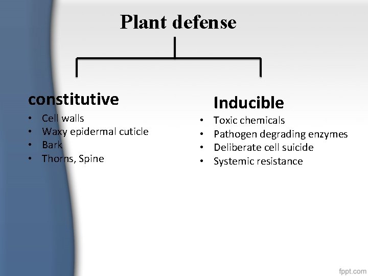 Plant defense constitutive • • Cell walls Waxy epidermal cuticle Bark Thorns, Spine Inducible