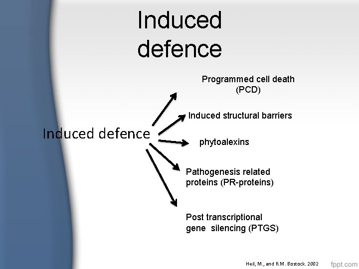 Induced defence Programmed cell death (PCD) Induced structural barriers Induced defence phytoalexins Pathogenesis related