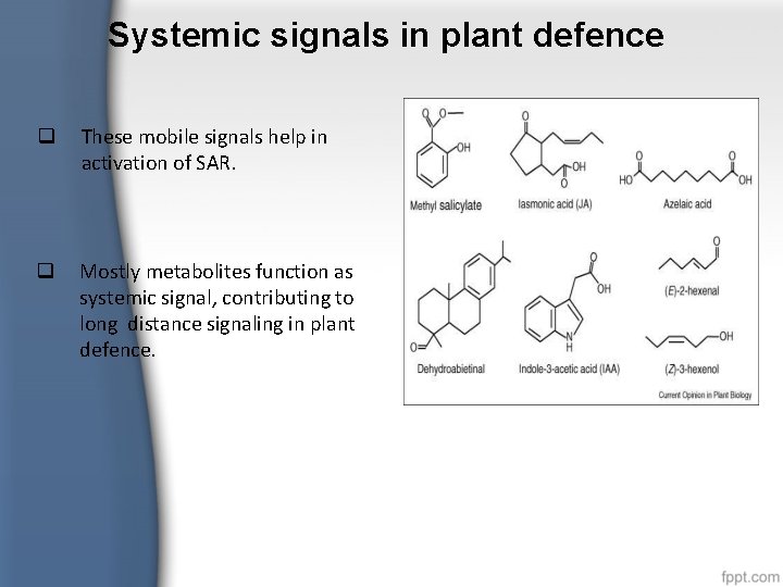 Systemic signals in plant defence These mobile signals help in activation of SAR. Mostly