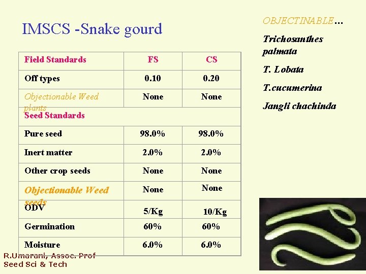OBJECTINABLE… IMSCS -Snake gourd Field Standards FS CS Off types 0. 10 0. 20