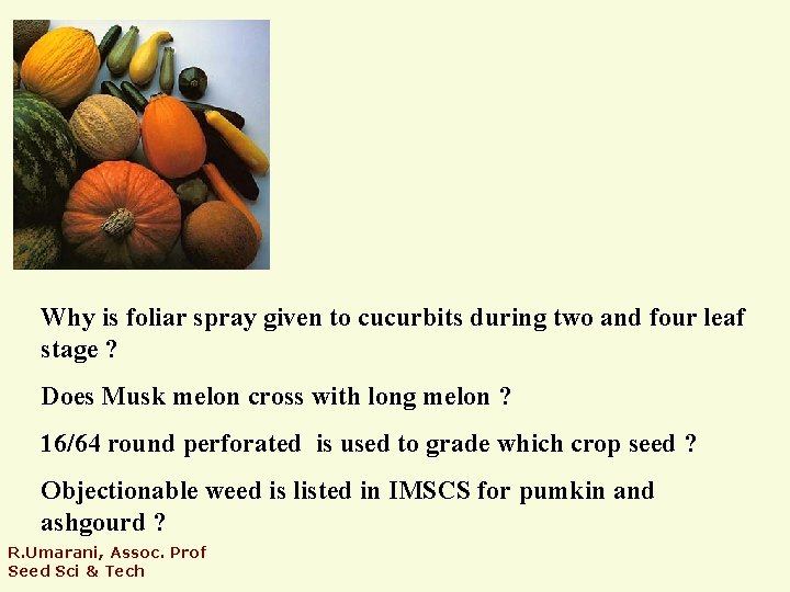 Why is foliar spray given to cucurbits during two and four leaf stage ?