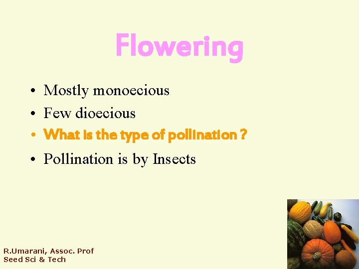 Flowering • Mostly monoecious • Few dioecious • What is the type of pollination