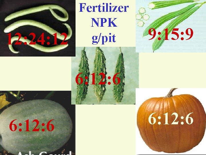 12: 24: 12 Fertilizer NPK g/pit 9: 15: 9 6: 12: 6 R. Umarani,