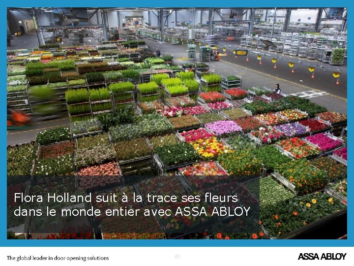 Flora Holland suit à la trace ses fleurs dans le monde entier avec ASSA