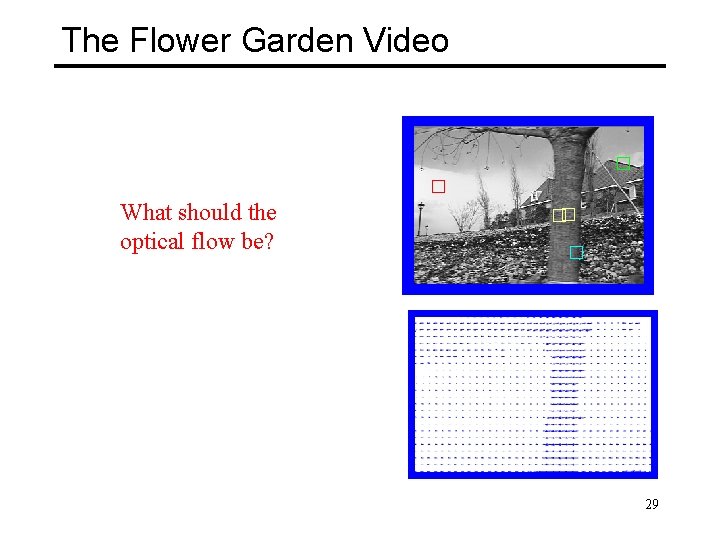 The Flower Garden Video What should the optical flow be? 29 