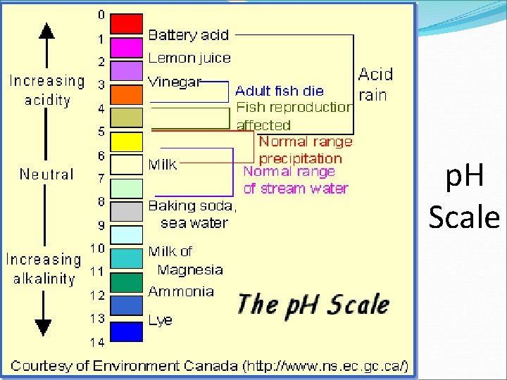 p. H Scale 