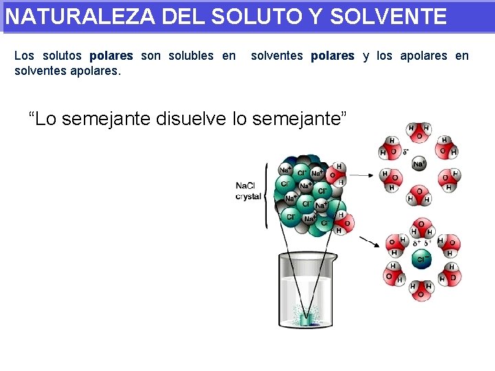 NATURALEZA DEL SOLUTO Y SOLVENTE Los solutos polares son solubles en solventes apolares. solventes