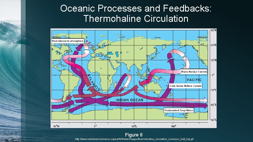 Oceanic Processes and Feedbacks: Thermohaline Circulation Figure 8 http: //www. windows 2 universe. org/earth/Water/images/thermohaline_circulation_conveyor_belt_big.