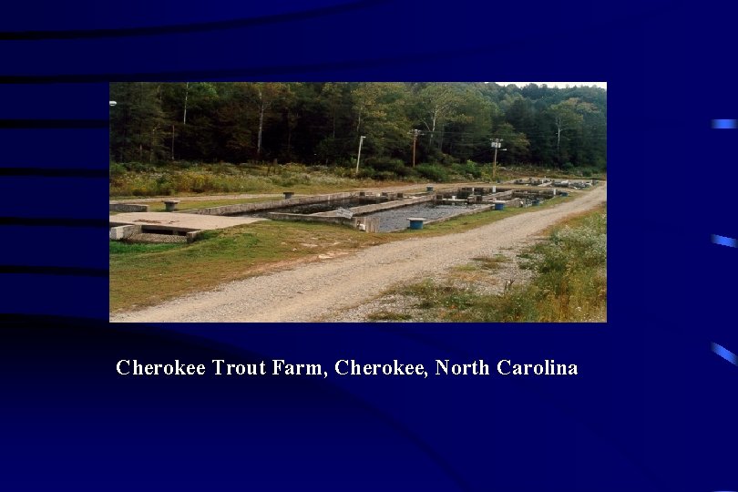 Cherokee Trout Farm, Cherokee, North Carolina 