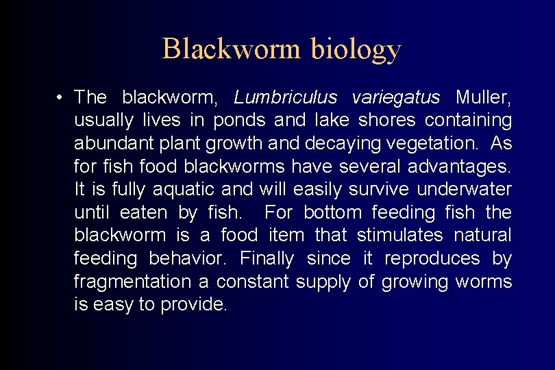 Blackworm biology • The blackworm, Lumbriculus variegatus Muller, usually lives in ponds and lake