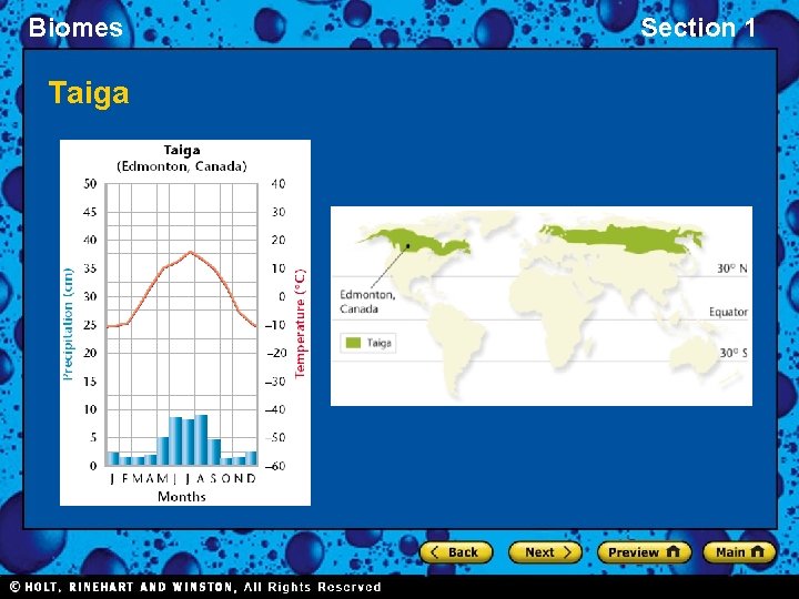 Biomes Taiga Section 1 