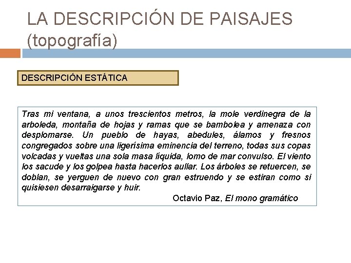 LA DESCRIPCIÓN DE PAISAJES (topografía) DESCRIPCIÓN ESTÁTICA Tras mi ventana, a unos trescientos metros,