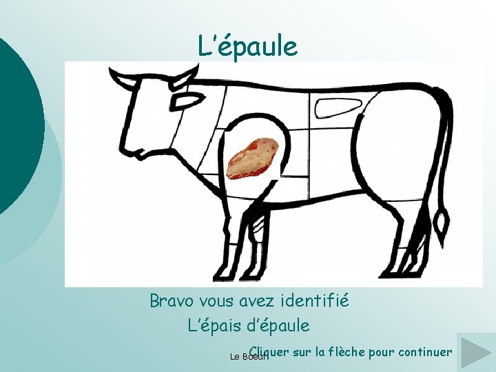 L’épaule Bravo vous avez identifié L’épais d’épaule Cliquer Le Boeuf sur la flèche pour