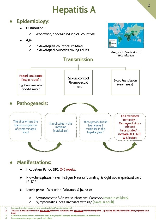 Hepatitis A 2 ● Epidemiology: ● Distribution: ○ ● Worldwide, endemic in tropical countries