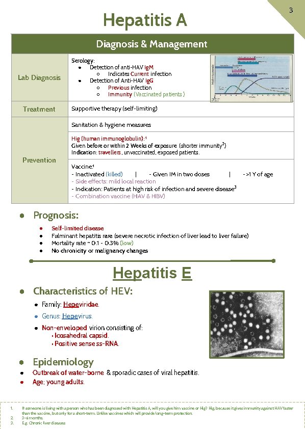 Hepatitis A 3 Diagnosis & Management Lab Diagnosis Treatment Serology: ● Detection of anti-HAV