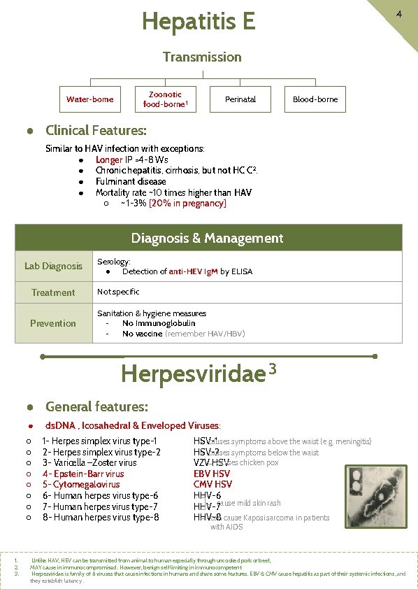 Hepatitis E 4 Transmission Zoonotic food-borne 1 Water-borne Perinatal Blood-borne ● Clinical Features: Similar