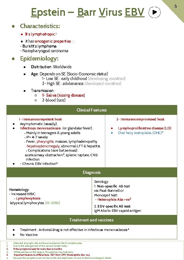 Epstein – Barr Virus EBV ● Characteristics: ● It’s lymphotropic. 1 ● it has