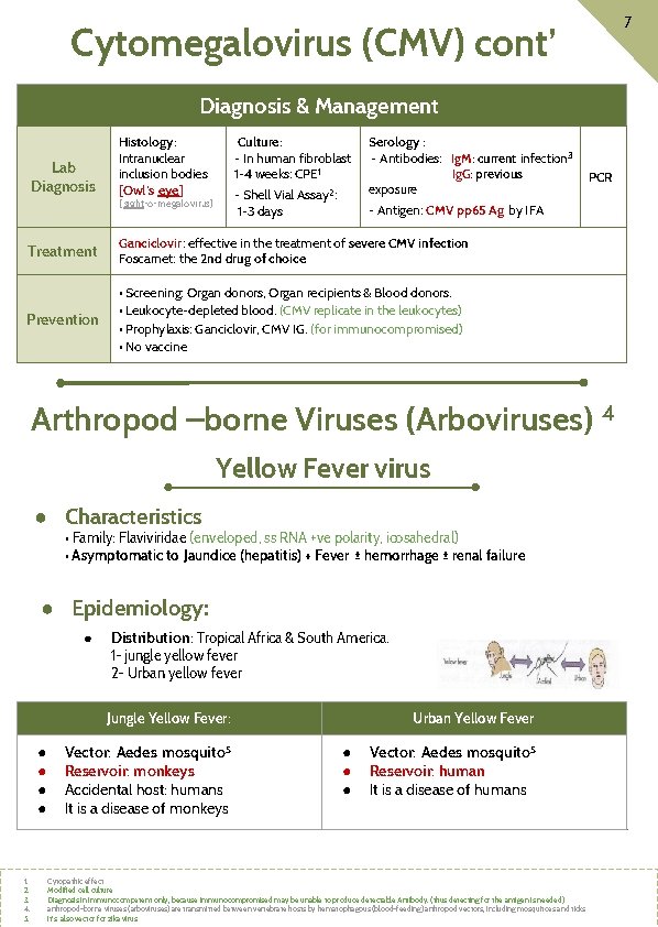 7 Cytomegalovirus (CMV) cont’ Diagnosis & Management Lab Diagnosis Histology: Intranuclear inclusion bodies [Owl’s
