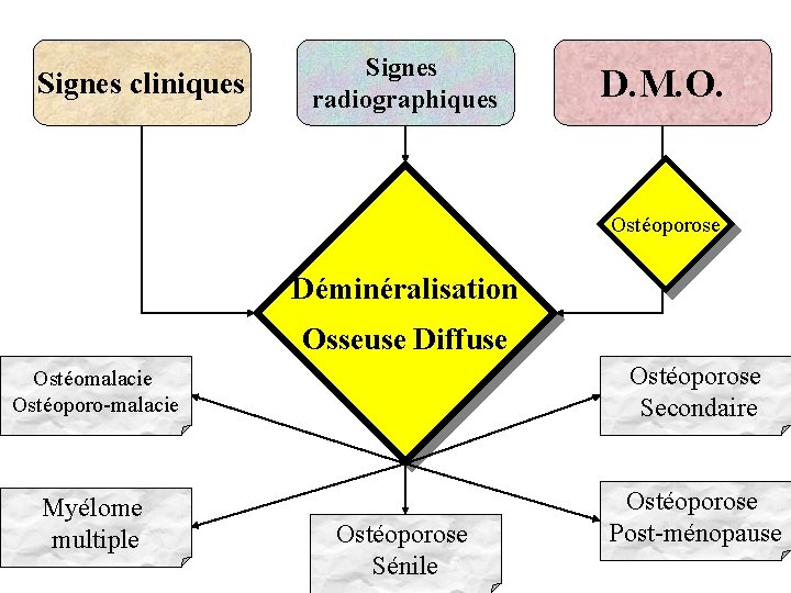 Signes cliniques Signes radiographiques D. M. O. Ostéoporose Déminéralisation Osseuse Diffuse Ostéomalacie Ostéoporo-malacie Ostéoporose