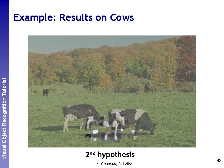 Perceptual and. Recognition Sensory Augmented Visual Object Tutorial Computing Example: Results on Cows 2