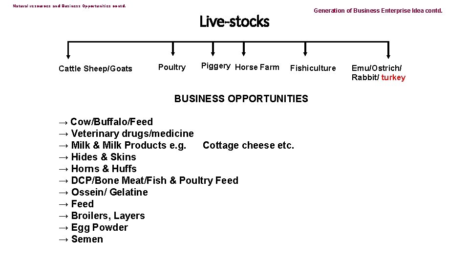 Natural resources and Business Opportunities contd. Generation of Business Enterprise Idea contd. Live-stocks Cattle