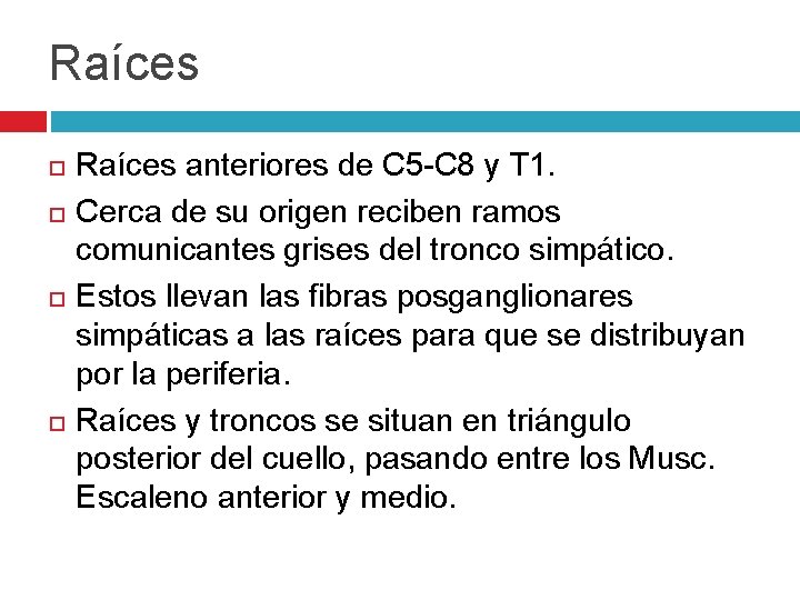 Raíces anteriores de C 5 -C 8 y T 1. Cerca de su origen