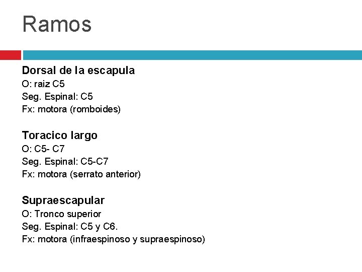 Ramos Dorsal de la escapula O: raiz C 5 Seg. Espinal: C 5 Fx: