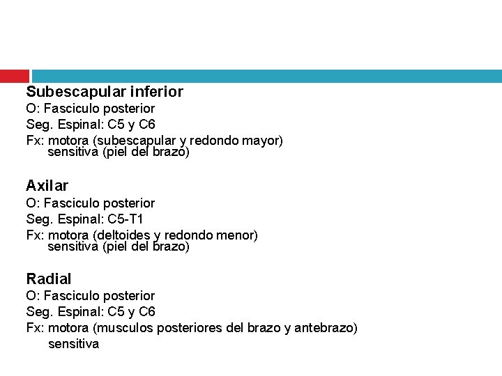Subescapular inferior O: Fasciculo posterior Seg. Espinal: C 5 y C 6 Fx: motora