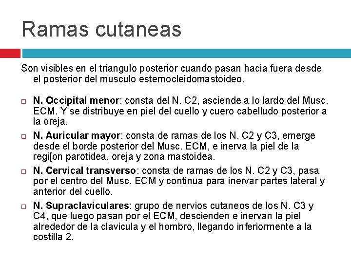 Ramas cutaneas Son visibles en el triangulo posterior cuando pasan hacia fuera desde el