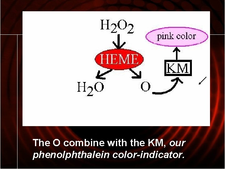The O combine with the KM, our phenolphthalein color-indicator. 