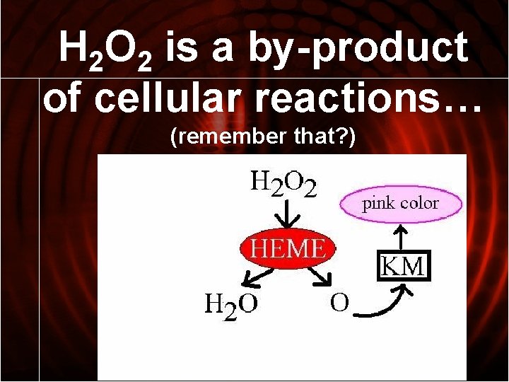 H 2 O 2 is a by-product of cellular reactions… (remember that? ) 