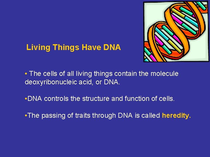 Living Things Have DNA • The cells of all living things contain the molecule