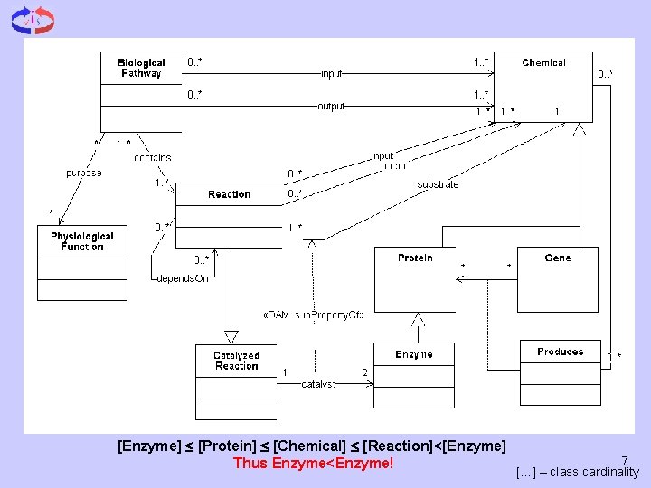 [Enzyme] [Protein] [Chemical] [Reaction]<[Enzyme] Thus Enzyme<Enzyme! 7 […] – class cardinality 