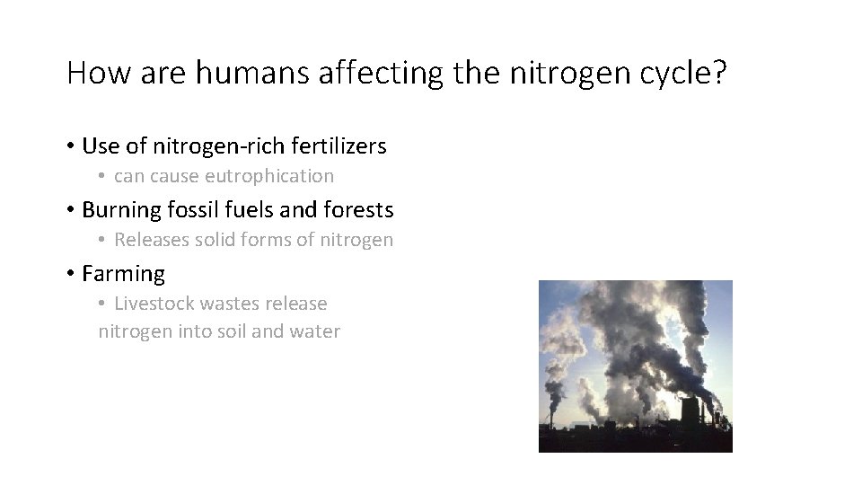 How are humans affecting the nitrogen cycle? • Use of nitrogen-rich fertilizers • can