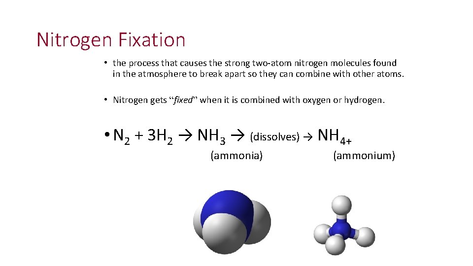 Nitrogen Fixation • the process that causes the strong two-atom nitrogen molecules found in