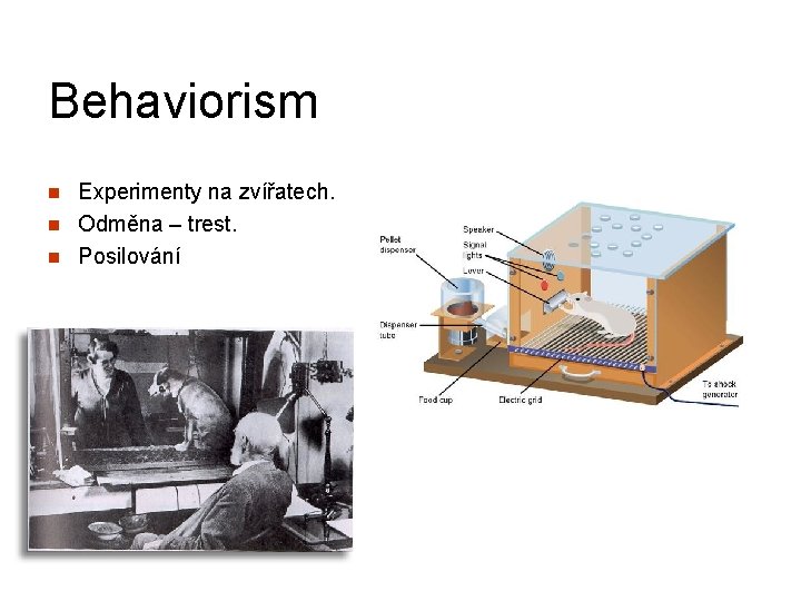 Behaviorism n n n Experimenty na zvířatech. Odměna – trest. Posilování 