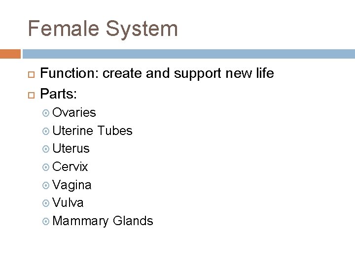 Female System Function: create and support new life Parts: Ovaries Uterine Tubes Uterus Cervix