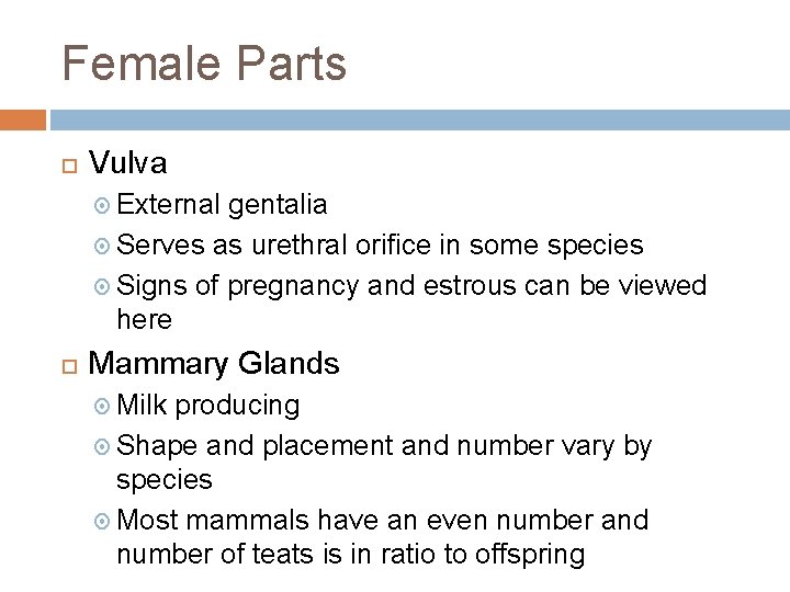 Female Parts Vulva External gentalia Serves as urethral orifice in some species Signs of