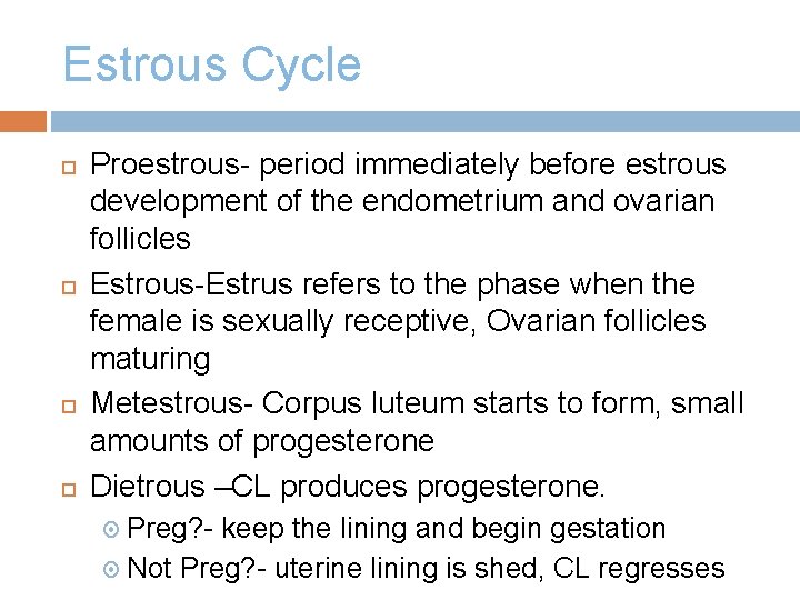 Estrous Cycle Proestrous- period immediately before estrous development of the endometrium and ovarian follicles