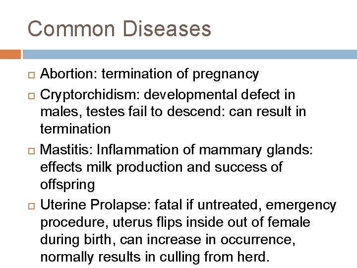 Common Diseases Abortion: termination of pregnancy Cryptorchidism: developmental defect in males, testes fail to