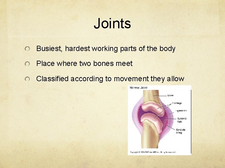 Joints Busiest, hardest working parts of the body Place where two bones meet Classified