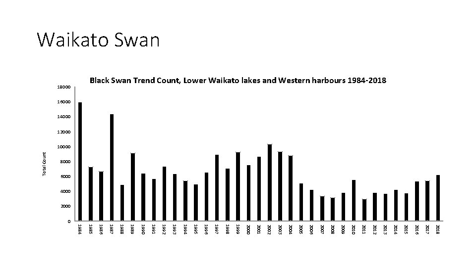 8000 6000 Total Count Waikato Swan Black Swan Trend Count, Lower Waikato lakes and