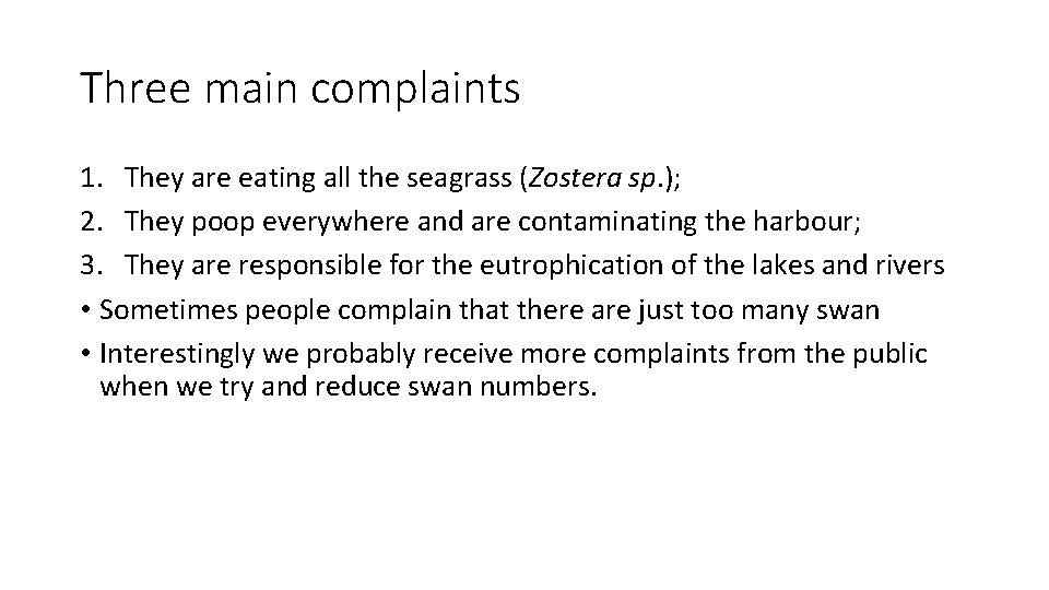 Three main complaints 1. They are eating all the seagrass (Zostera sp. ); 2.