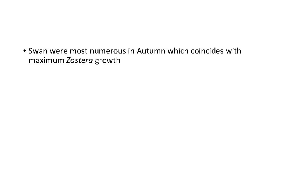  • Swan were most numerous in Autumn which coincides with maximum Zostera growth