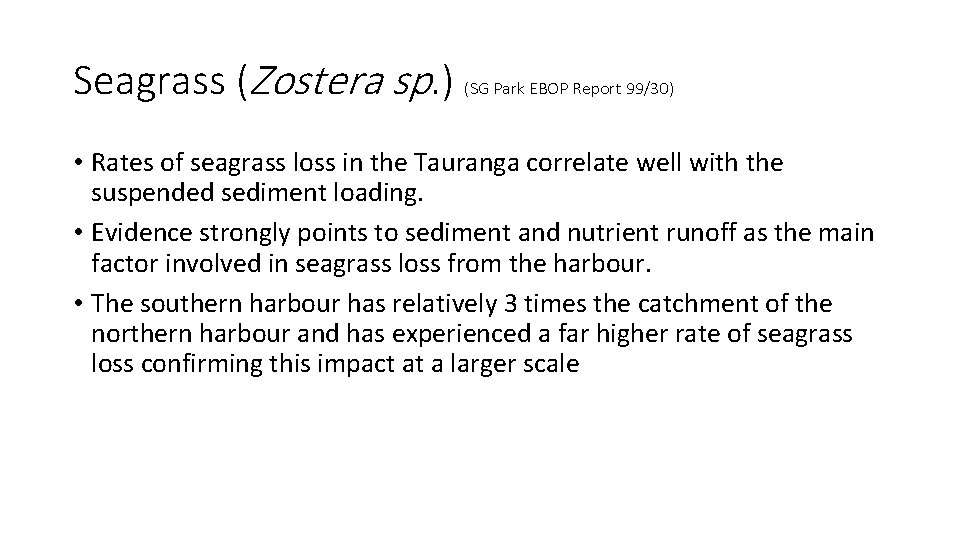 Seagrass (Zostera sp. ) (SG Park EBOP Report 99/30) • Rates of seagrass loss